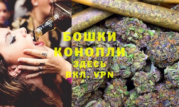 spice Снежногорск