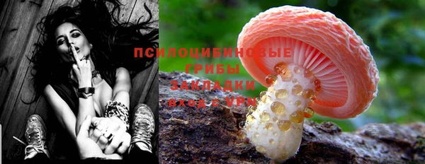 прущие крисы Слюдянка